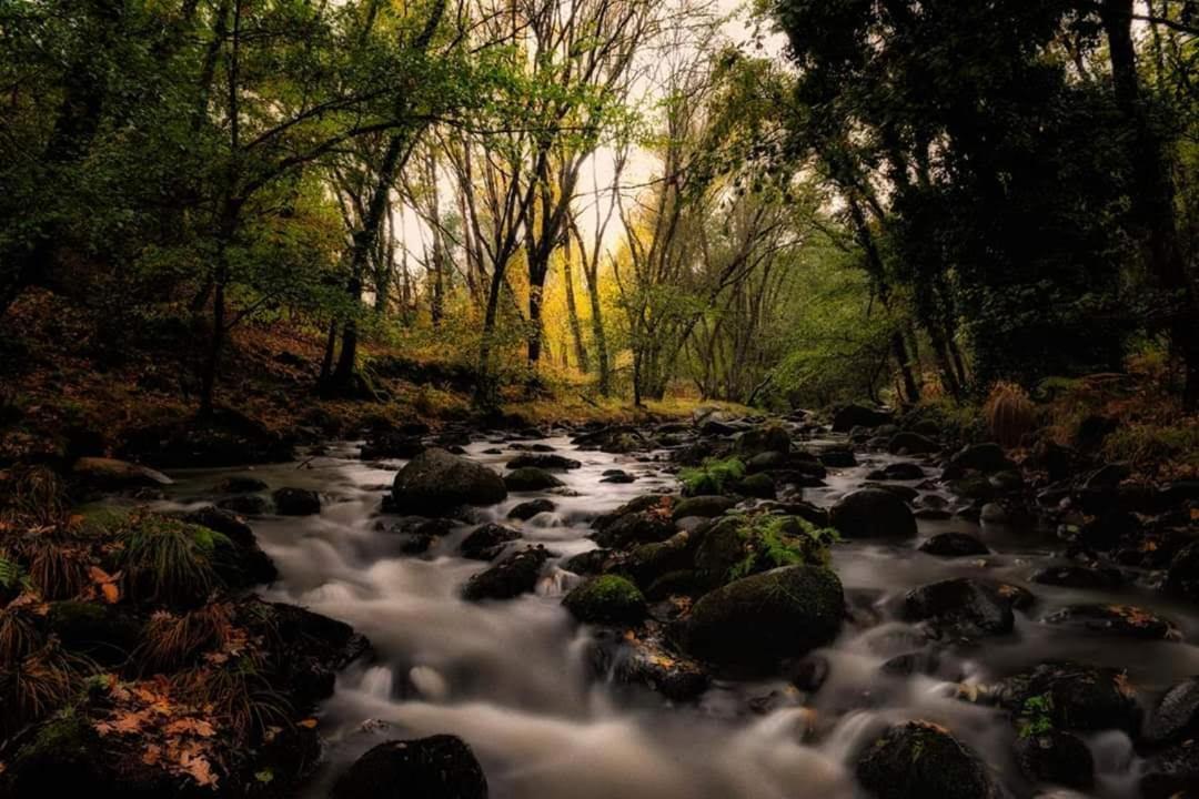 Hostel El Lago, Caceres Jaraiz de la Vera Exteriér fotografie