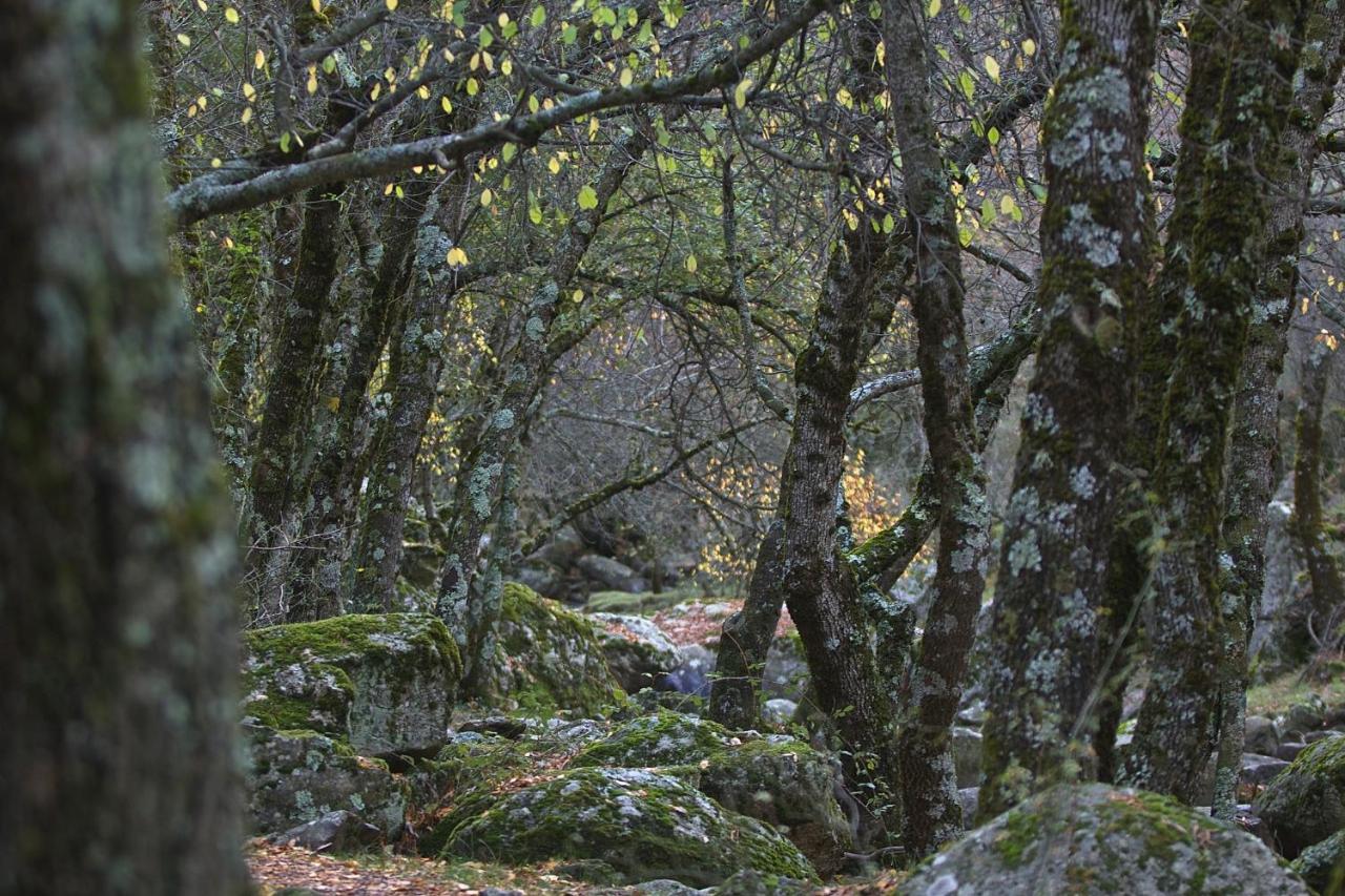 Hostel El Lago, Caceres Jaraiz de la Vera Exteriér fotografie